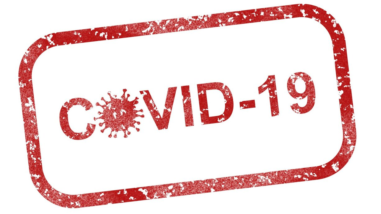 COVID-19 pandemisinin sonu göründü