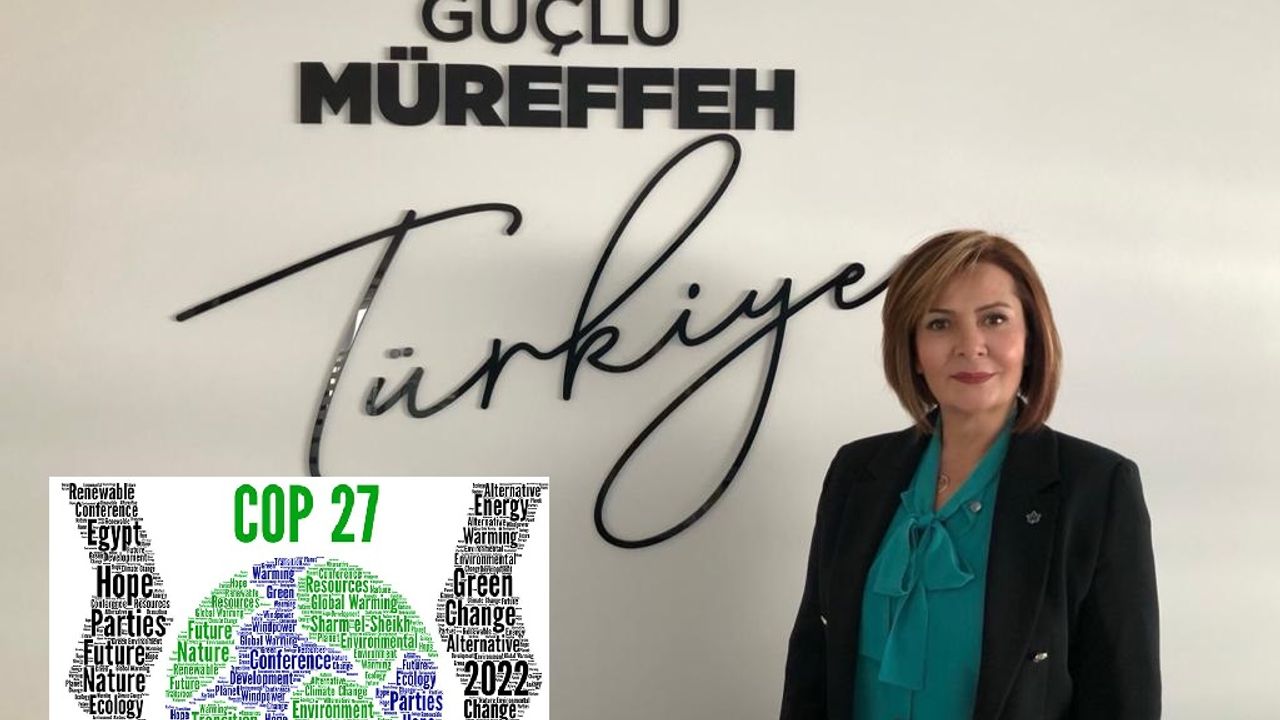 Meryem Türktekin; COP27- Sonuç Bildirgesi Kimseyi Memnun Etmedi