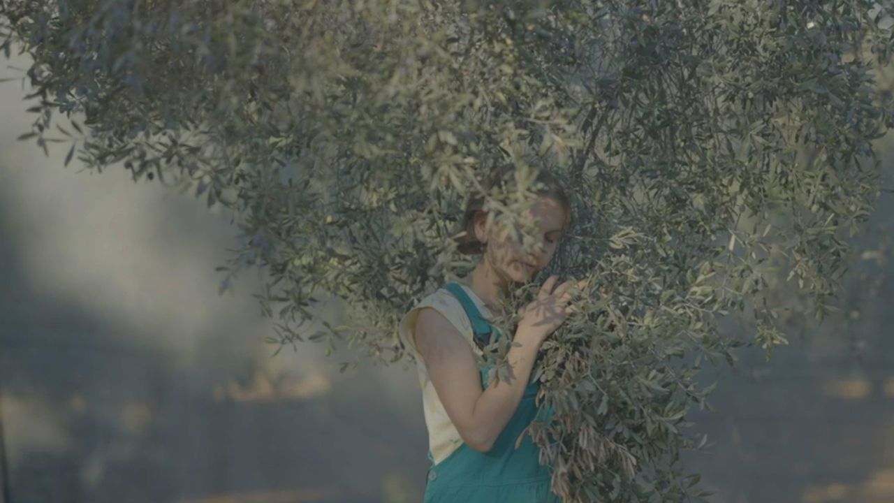 Zeytin, Tarımda Kadın ve Bedeni Üzerine Bir Sosyal Film Projesi