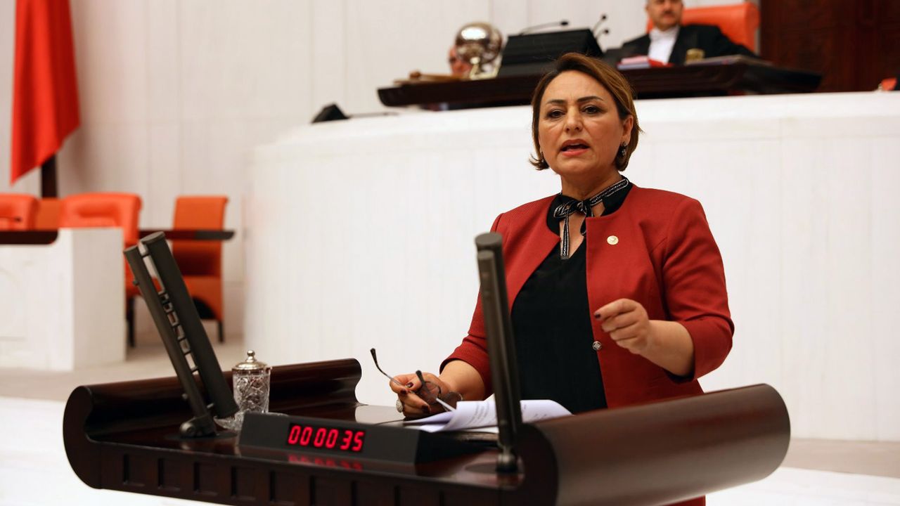 CHP’li Şevkin, kadınların doğum borçlanması için kanun teklifi verdi
