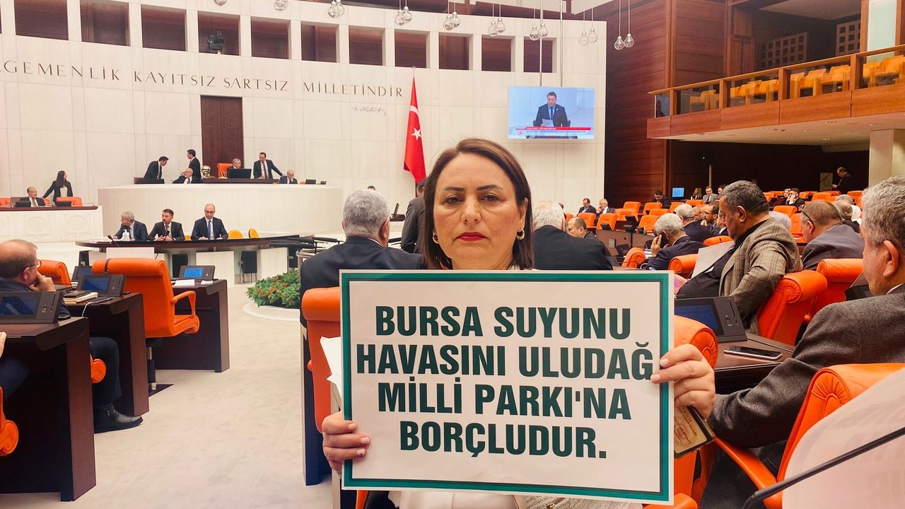 CHP'li Şevkin, “Uludağ Alan Başkanlığı" demek betonlaşma demek!