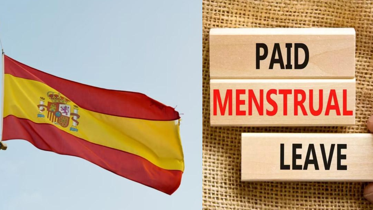 İspanya'nın yeni, kapsamlı, ayrımcılık karşıtı ve feminist yasayı kabul etmesi memnuniyetle karşılandı