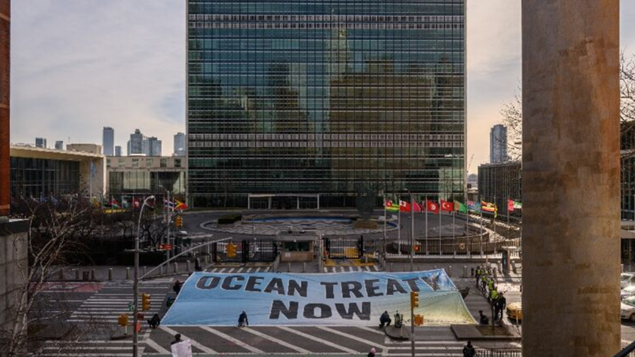 BM devletleri açık denizleri korumak için 'tarihi' anlaşmayı kabul etti