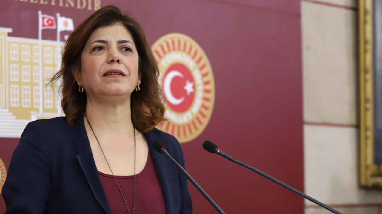 HDP'li Beştaş: AKP-MHP çevre sorununa rant gözüyle bakıyor, giderayak tarımı da bitirmeye çalışıyor