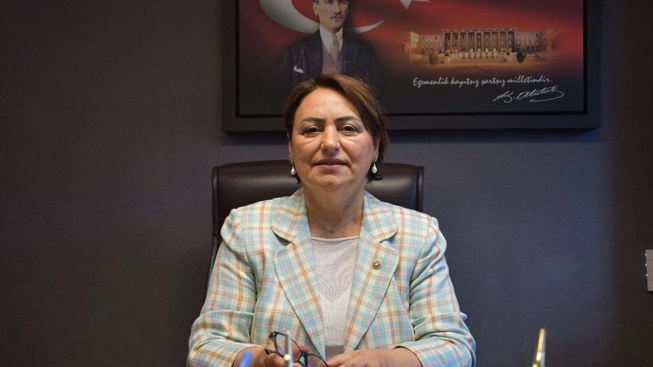 CHP'li Şevkin: AKP, yerli ve milli servetleri bir bir elden çıkarıyor