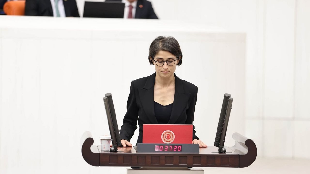 Ceylan AKÇA CUPOLO, Diyarbakır ve kimi bağlı ilçelerde ki üreticilerin yaşadığı sorunları Meclise taşıdı