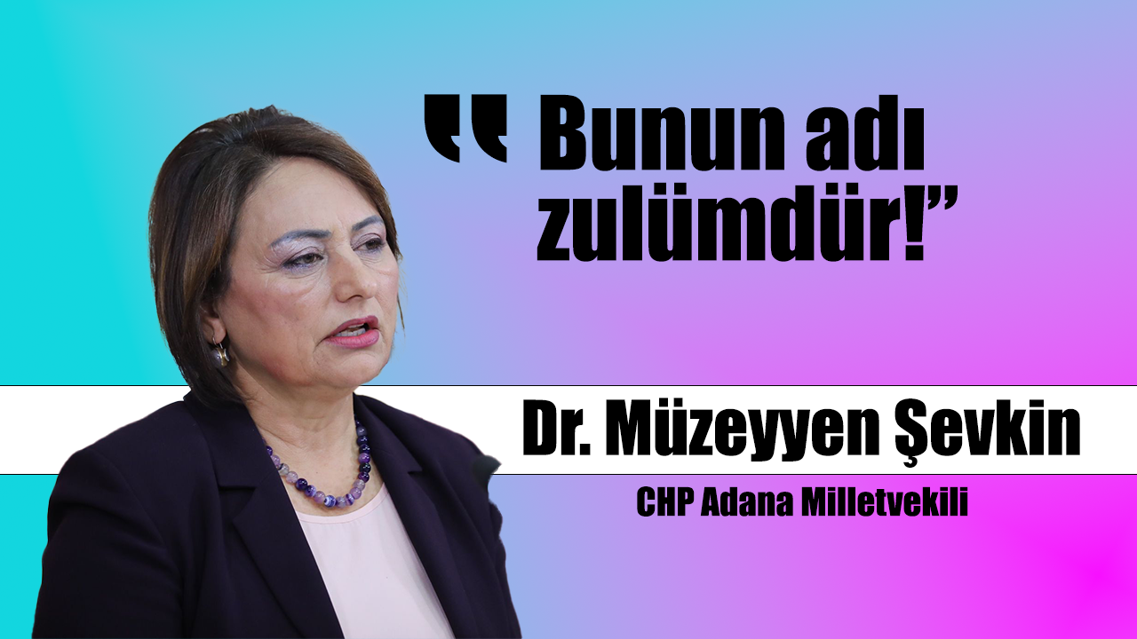 CHP'li Şevkin, “İktidarda tasarruf yok, vatandaşa ağır vergi yükü ve zam var”