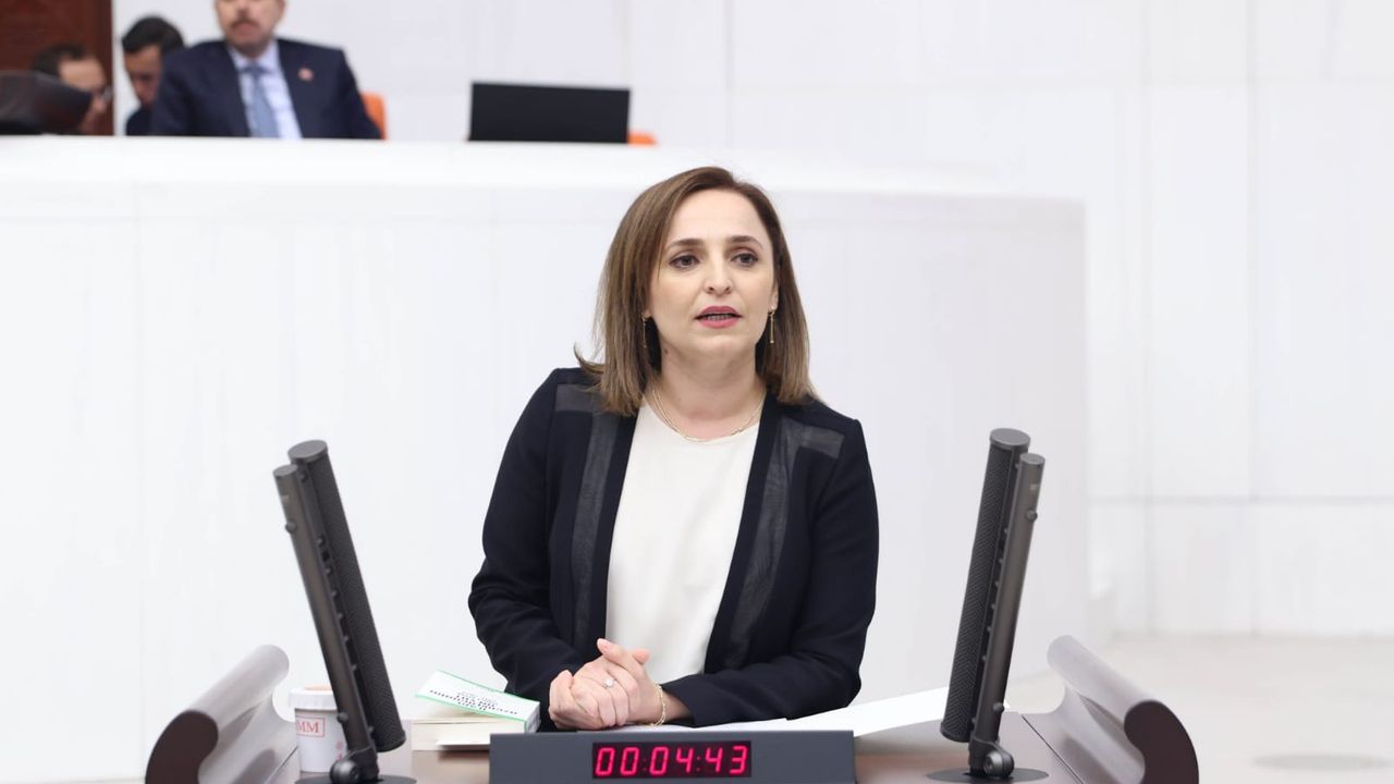 Şırnak Milletvekili Ayşegül Doğan'ın Şırnak il ve ilçelerinde sağlık sorunlarını meclise taşıdı