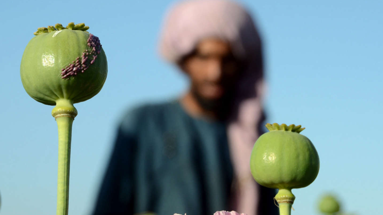 UNODC: Eroin ticareti yavaşlarken Afganistan ve çevresinde metamfetamin kaçakçılığı hızla artıyor