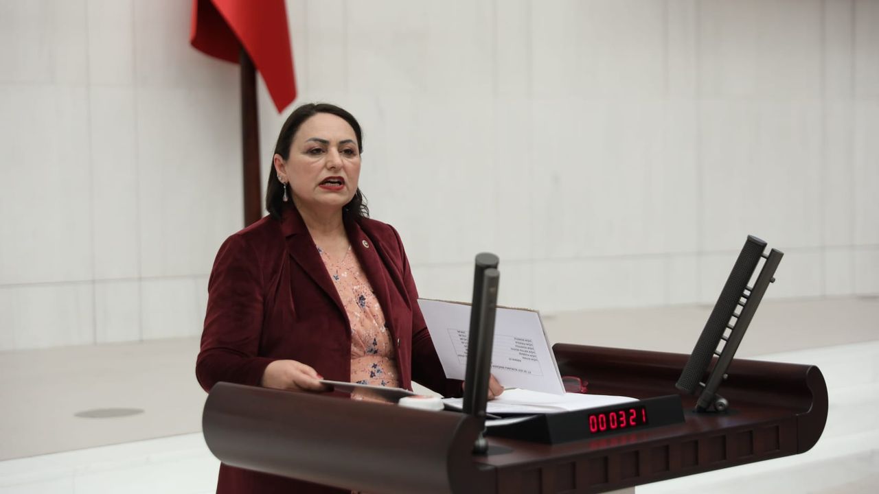 CHP Adana Milletvekili Dr. Müzeyyen Şevkin, Romanyalı gelin 28 yıldır Türk kimliği alamıyor
