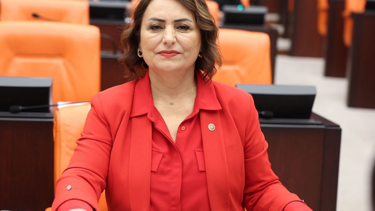 CHP Adana Milletvekili Dr. Müzeyyen Şevkin, sokak hayvanları sorununa karşı çözüm önerisi sundu