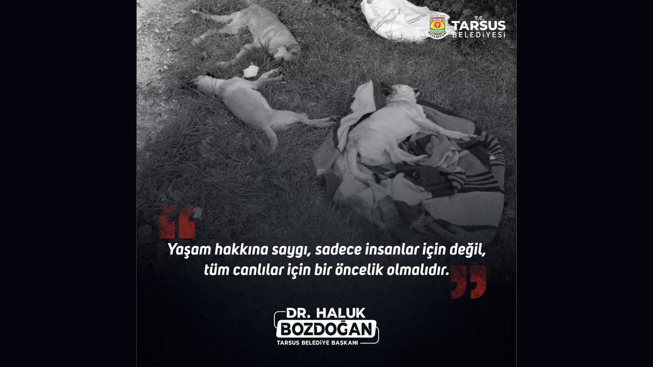 Başkan Bozdoğan, Yaşam hakkına saygı, sadece insanlar için değil, tüm canlılar için bir öncelik olmalıdır.