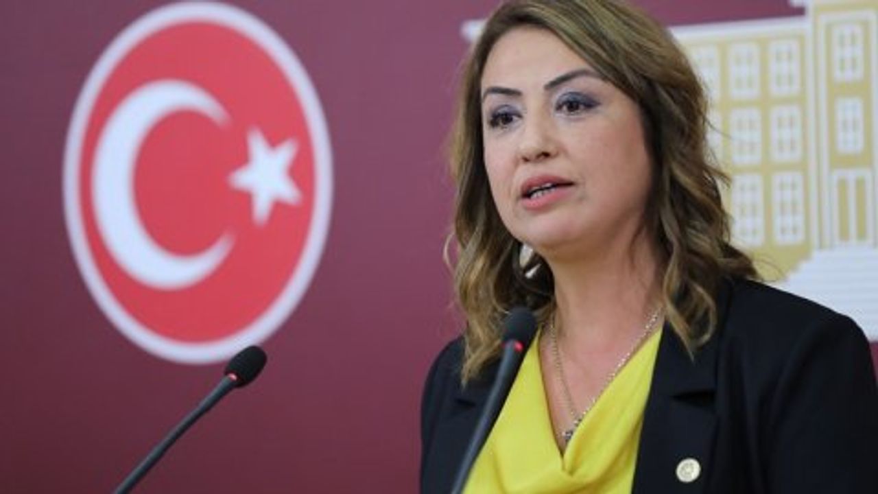 CHP'li Nermin Yıldırım Kara'dan Erdoğan'a: "Hatay’a gözlerinizi kapattığınızın itirafıdır"