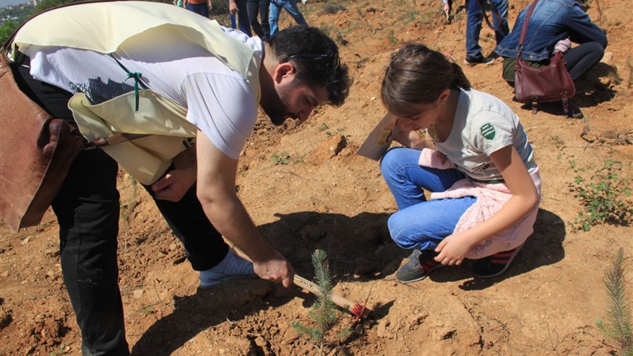 ÇEKÜL, “Yanan alanlarda fidan dikiminde acele edilmemeli”