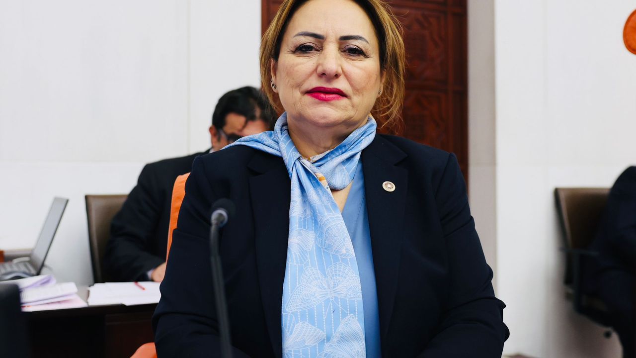 CHP’li Müzeyyen Şevkin’den Asgari Ücret Tepkisi: “Toplumun Yüzde 60’ı Açlık Sınırı Altında Yaşıyor”