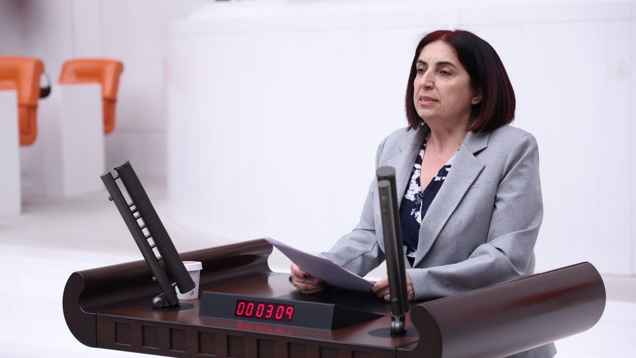 DEM Partili Sevilay Çelenk’ten Hatice Onaran İçin Meclis Çağrısı: ‘Açık İnsan Hakları İhlali’