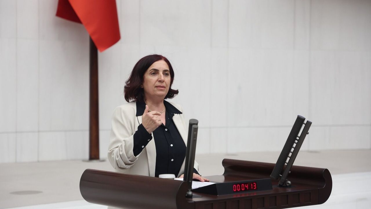 Sevilay Çelenk: Amed’de uzman hekim açığı giderilsin, sağlık hizmetlerine erişim sağlansın