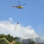 Orman Yangınları Soruşturmalarında 12 Şüpheli Tutuklandı