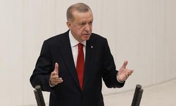 Cumhurbaşkanı Recep Tayyip Erdoğan, "TBMM, öncü rol üstlenmiştir"