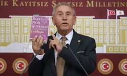 Kaya; Mahir Ünal sen hiç Yaşar Kemal okudun mu?