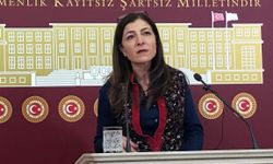 Züleyha Gülüm, Boğaziçi Üniversitesi'nin Sayıştay Denetim Raporundaki Usulsüzlükleri Meclise taşıdı