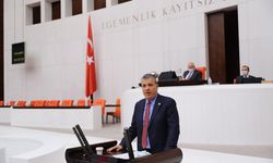 CHP'li Ayhan Barut: "Alevilik torbaya sığmaz, yasayı geri çekin"