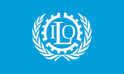 ILO: Yükselen enflasyon reel ücretlerde çarpıcı düşüş getiriyor