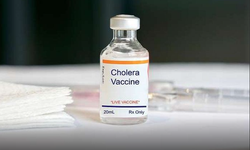2 milyon doz oral kolera aşısı Suriye'ye ulaştı