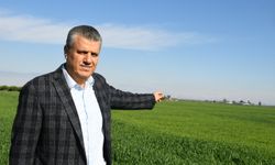 Ayhan Barut'tan fahiş artan gıda fiyatları için iktidara çağrı