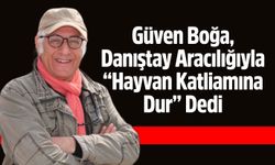 Güven Boğa, Danıştay Aracılığıyla “Hayvan Katliamına Dur” Dedi