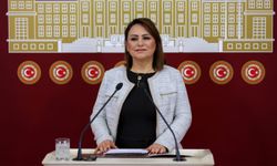 CHP Adana Milletvekili Dr. Müzeyyen Şevkin, “Kadın kooperatiflerinde vergi oranı düşürülsün”