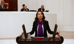 Adana Milletvekili Tülay Hatimoğulları şüpheli kadın ölümleri Araştırılsın