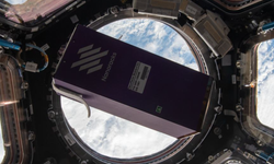 Astrobotanik: Uzaya gönderilen tohumlar Dünya'ya dönmeye hazırlanıyor