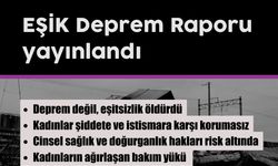 EŞİK: Bilime kulak asmamak, kar ve rant hırsı, eşitsizlik ve ayrımcılık öldürdü