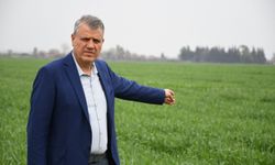 "Türkiye son 20 yılda AKP döneminde 90 milyon tona yakın buğday ithal etti"