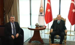 Erdoğan-Destici görüşmesi sona erdi!