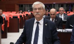Kani Beko, “Göçmenlerin aydınlığı sizi de karanlıktan kurtaracak!”