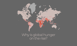 Dünya nüfusunun yüzde onu yeterli yiyeceğe sahip değil