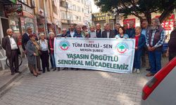 Emeklileri Tek Adam İktidarına Son Vermeye Çağırıyoruz