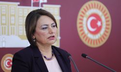 CHP'li Şevkin,  “Türkiye, silah cenneti oldu!”