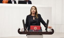 NERMİN YILDIRIM KARA: DENİZ SUYUMUZ TEMİZ Mİ ÖĞRENMEK İSTİYORUZ