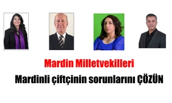 Mardin Milletvekillerinden Mardinli çiftçinin sorunlarına dair toplu soru önergesi