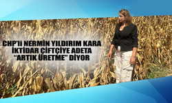 CHP HATAY MİLLETVEKİLİ NERMİN YILDIRIM KARA: İKTİDAR ÇİFTÇİYE ADETA “ARTIK ÜRETME” DİYOR