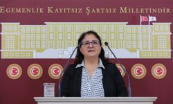 Ayten Kordu, Erzincan Kapalı Kadın Cezaevinde Yaşanan Hak İhlallerini meclis gündemine taşıdı.