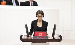 DEM Partili Akça Cupolo’dan Gelir Adaletsizliği ve Emek Hakları İçin Meclis Araştırması Talebi