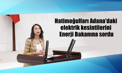 Hatimoğulları Adana'daki elektrik kesintilerini Enerji Bakanına sordu