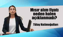 Yeşil Sol Parti Adana Milletvekili Tülay Hatimoğulları, Mısır alım fiyatı neden halen açıklanmadı?