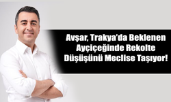 Avşar, Trakya’da Beklenen Ayçiçeğinde Rekolte Düşüşünü Meclise Taşıyor!