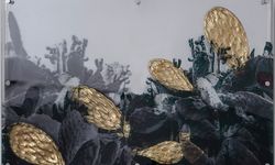 Lara Sayılgan’dan Doğa Fotoğrafçılığına Farklı Bir Yaklaşım