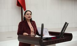CHP Adana Milletvekili Dr. Müzeyyen Şevkin, Romanyalı gelin 28 yıldır Türk kimliği alamıyor